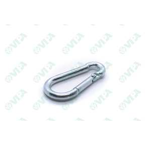  Seal rings Double Spring Lip - DC - Standard type C
