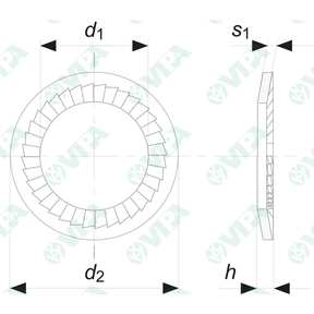  serrated spring washers  (SCHNORR) 